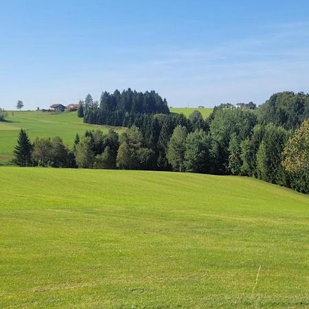 Appartement Anna Altreichenau à Neureichenau Extérieur photo